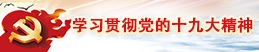 學習貫徹黨的十九大精神